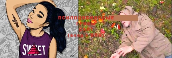 кристаллы Алексин