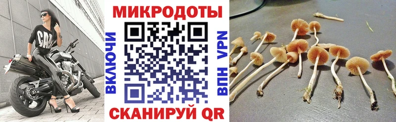 маркетплейс наркотические препараты  Белгород  Галлюциногенные грибы прущие грибы 